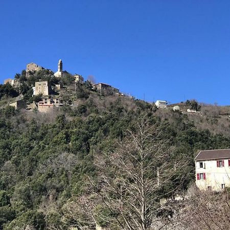 Camping L'Agrottu Au Coeur De La Corse Santa-Lucia-di-Mercurio Eksteriør billede