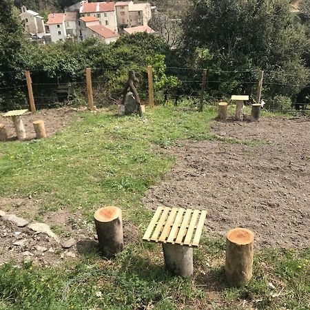 Camping L'Agrottu Au Coeur De La Corse Santa-Lucia-di-Mercurio Eksteriør billede