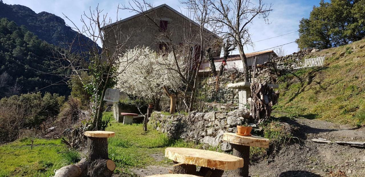 Camping L'Agrottu Au Coeur De La Corse Santa-Lucia-di-Mercurio Eksteriør billede