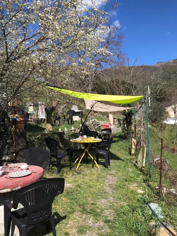 Camping L'Agrottu Au Coeur De La Corse Santa-Lucia-di-Mercurio Eksteriør billede