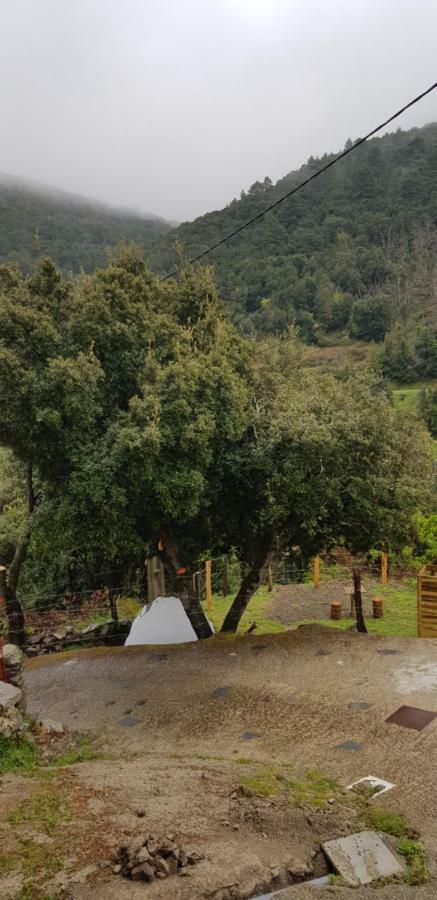 Camping L'Agrottu Au Coeur De La Corse Santa-Lucia-di-Mercurio Eksteriør billede