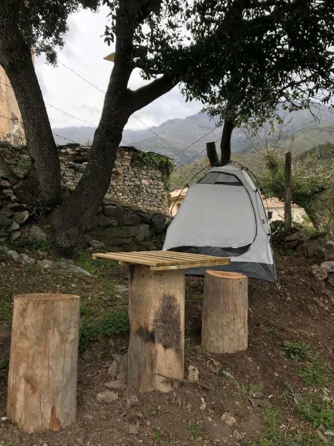 Camping L'Agrottu Au Coeur De La Corse Santa-Lucia-di-Mercurio Eksteriør billede