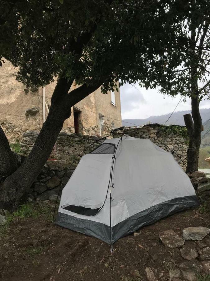 Camping L'Agrottu Au Coeur De La Corse Santa-Lucia-di-Mercurio Eksteriør billede