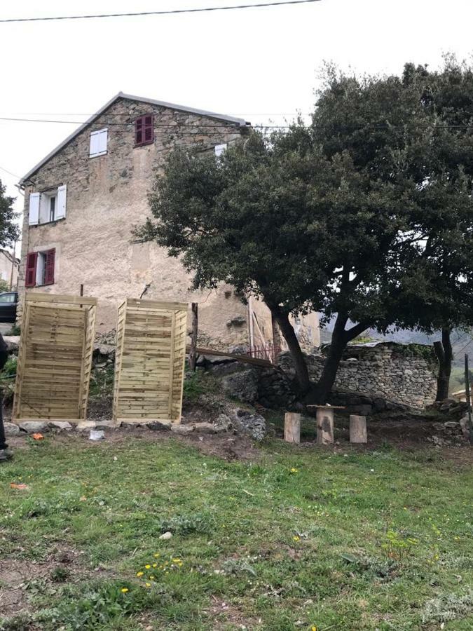 Camping L'Agrottu Au Coeur De La Corse Santa-Lucia-di-Mercurio Eksteriør billede