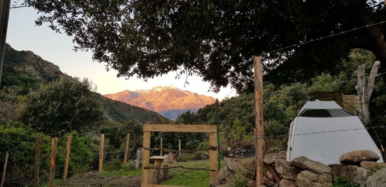 Camping L'Agrottu Au Coeur De La Corse Santa-Lucia-di-Mercurio Eksteriør billede