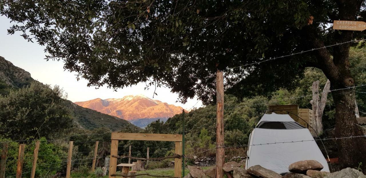 Camping L'Agrottu Au Coeur De La Corse Santa-Lucia-di-Mercurio Eksteriør billede