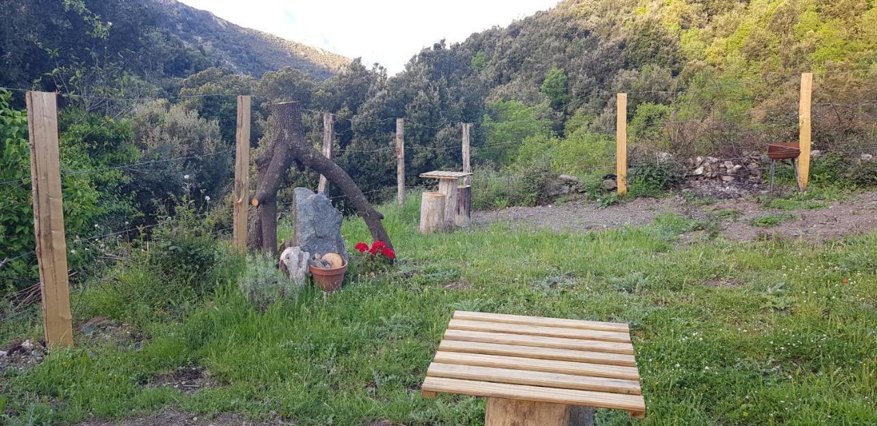 Camping L'Agrottu Au Coeur De La Corse Santa-Lucia-di-Mercurio Eksteriør billede