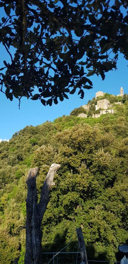 Camping L'Agrottu Au Coeur De La Corse Santa-Lucia-di-Mercurio Eksteriør billede