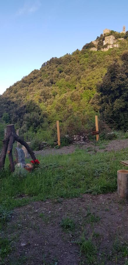 Camping L'Agrottu Au Coeur De La Corse Santa-Lucia-di-Mercurio Eksteriør billede
